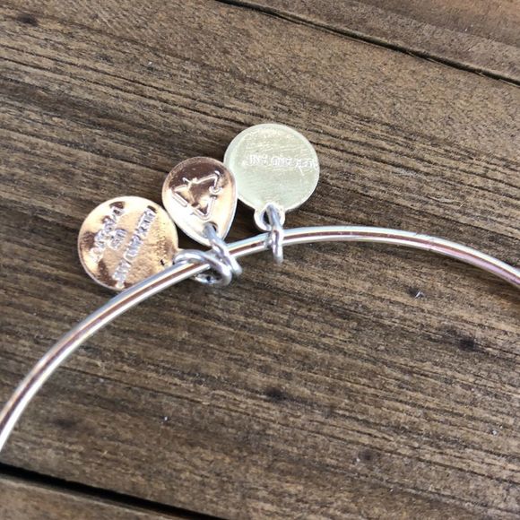 Alex and Ani Amethyst Birthstone Crystal Silver Adjustable Charm Bracelet! EUC - Picture 9 of 10